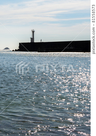 海 海 81558573