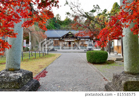 蘆之神社 蘆之神社 81558575