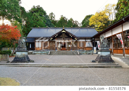 蘆之神社 蘆之神社 81558576