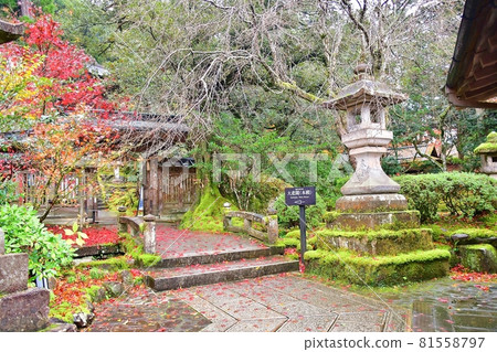 Nada Temple 81558797