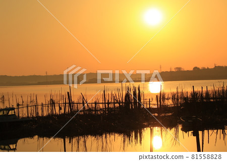 Seiryousanuma的日出 Seiryousanuma的日出 81558828