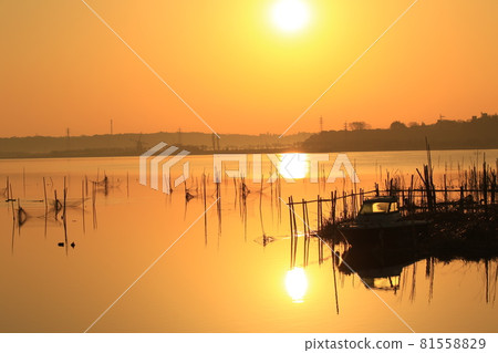 Seiryousanuma的日出 81558829