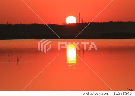 Seiryousanuma的日出 81558846