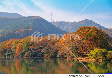 荒川玉堂水壩湖 秋景 秋葉季節 荒川玉堂水壩湖 秋景 秋葉季節 81558992