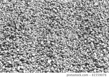 Gravel-like texture (monochrome) 81559078