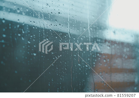 rain, rainy, window 81559207