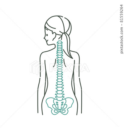 女性背部和脊柱 2 顏色的圖像 81559264