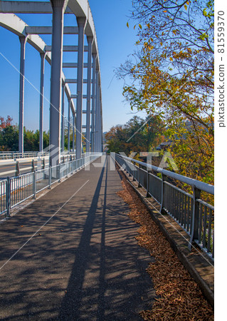 玉原橋，玉堂水壩附近，秋景，紅葉季節 81559370