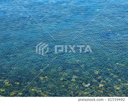 小樽海淺波浪紋 小樽海淺波浪紋 81559492