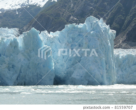 Glaciers in Alaska Glaciers in Alaska 81559707