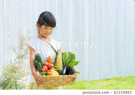Assorted children's vegetables Assorted children's vegetables 81559983