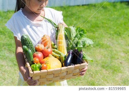 Assorted children's vegetables Assorted children's vegetables 81559985