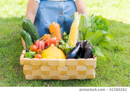 夏季兒童蔬菜 夏季兒童蔬菜 81560262