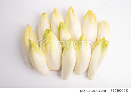many raw endives salad roots or chicory on white background, top view many raw endives salad roots or chicory on white background, top view 81560658