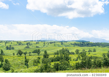 Oshitoishi no Oka, Minamioguni Town, Aso District, Kumamoto Prefecture 81560849