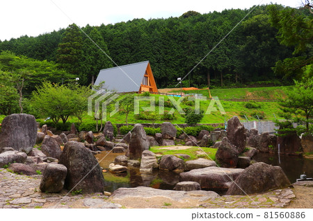 Ipponmatsu Park Showa no Mori, Umi Town, Fukuoka Prefecture 81560886