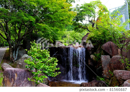 Ipponmatsu Park Showa no Mori, Umi Town, Fukuoka Prefecture 81560887