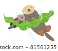 Parent-child sea otter sleeping on kelp 81561255