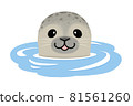 A seal that makes a face out of the water 81561260