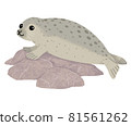 Seals on the rock 81561262
