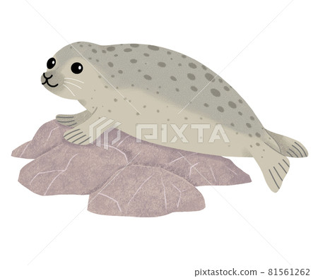 岩石上的封印 岩石上的封印 81561262