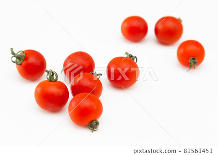  Mini Tomato 81561451