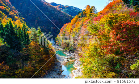 White sand valley (autumn) White sand valley (autumn) 81561572