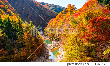 White sand valley (autumn) White sand valley (autumn) 81561575