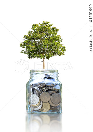 growing tree on a bottle for saving money isolated on white background 81561940