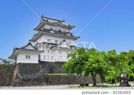 神奈川縣小田原城的城堡塔 神奈川縣小田原城的城堡塔 81562003