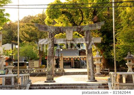 春日神社 福岡縣春日市神社 81562044