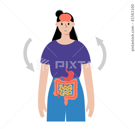 Gut brain connection 81563100