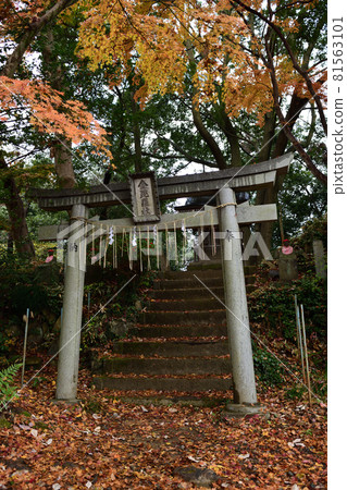 Mt. Takao mountain trail Kotohira-sha in autumn colors 81563101