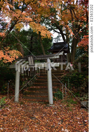 Mt. Takao mountain trail Kotohira-sha in autumn colors Mt. Takao mountain trail Kotohira-sha in autumn colors 81563102