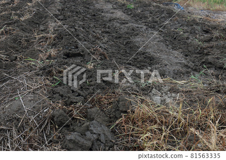 在菜地中製作土壤堆肥 在菜地中製作土壤堆肥 81563335