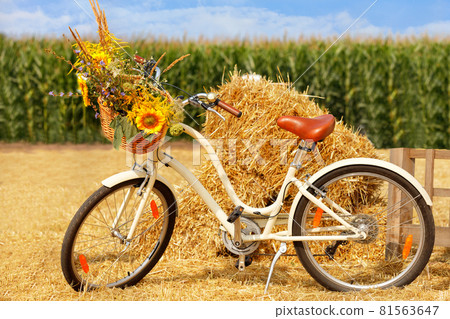 Ladies bicycle with a basket, a bouquet of wild flowers in front on the handlebars against the background of a heap of straw and a corn field in blur. Ladies bicycle with a basket, a bouquet of wild flowers in front on the handlebars against the background of a heap of straw and a corn field in blur. 81563647