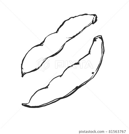 蠶豆的日式手繪線描插圖 81563767