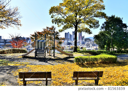 View toward Hashimoto Station from Mitsumeyama Nishi Park (Machida City, Tokyo) [2019.11] 81563839