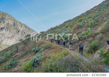 卡尼翁德爾科爾卡 81563980