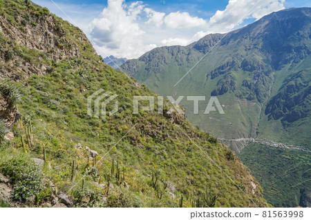 Kanyon del Corca 81563998