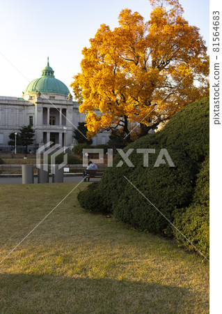 Autumn leaves in the setting sun and Hyokeikan National Museum Autumn leaves in the setting sun and Hyokeikan National Museum 81564683