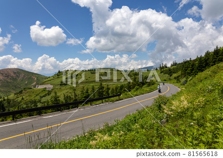 Shiga Kusatsu Plateau Route Plateau Driveway 81565618