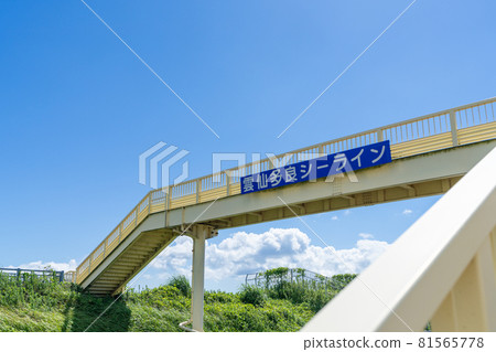Isahaya Bay Reclamation Embankment Road (Unsen Tara Sealine) Isahaya City, Nagasaki Prefecture 81565778