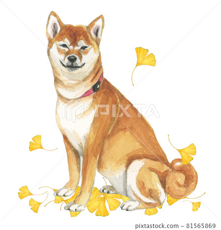 銀杏葉與柴犬【手繪水彩】 81565869