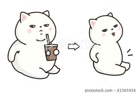 White cat diet. Before and after. White cat diet. Before and after. 81565958