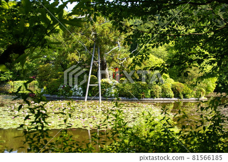 Ryoanji temple 81566185