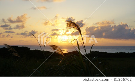 Asahi and Susuki Asahi and Susuki 81566702