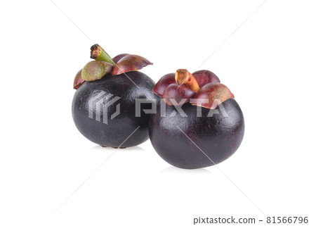 Mangosteen fruit on white background. 81566796
