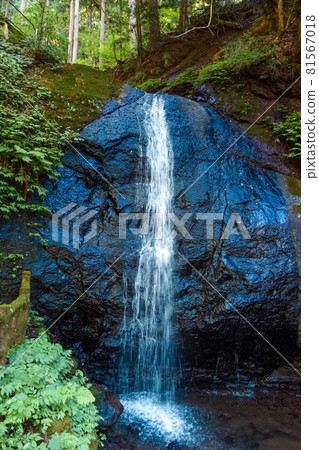 福井縣權現山不動瀑布【柳瀑布】 福井縣權現山不動瀑布【柳瀑布】 81567018