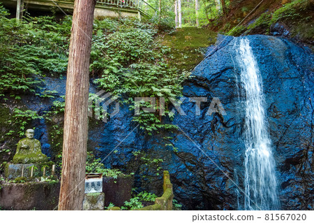 福井縣權現山不動瀑布【柳瀑布】 81567020